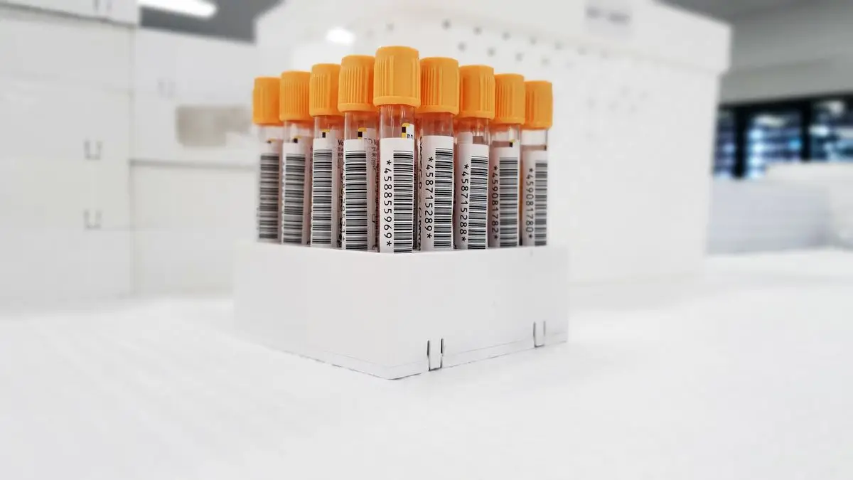 A rack of labelled blood sample tubes
